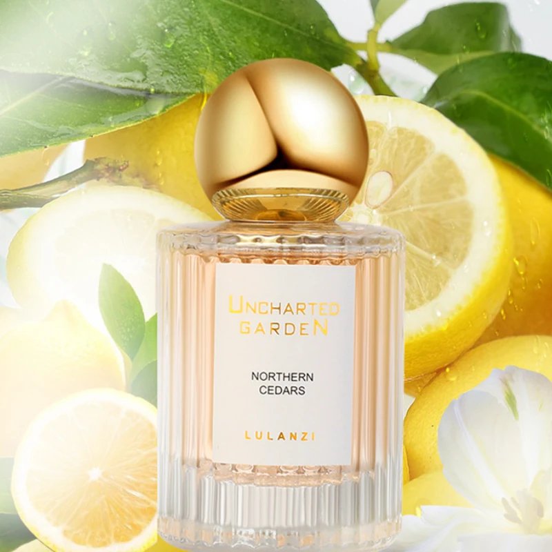 Perfume Fresh Citrus Jasmine F - Perfume Jasmine Fragrance incelemesi ve fiyatı