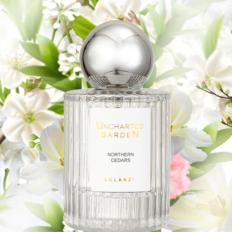 Perfume Fresh Citrus Jasmine F - Perfume Jasmine Fragrance incelemesi ve fiyatı