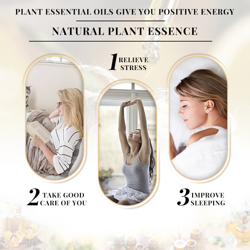EVOKE Jasmine Fragrance 100ml  - Perfume Fragrance Enhancer incelemesi ve fiyatı