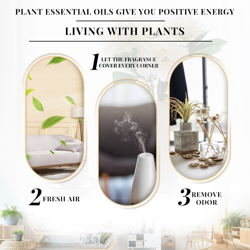 EVOKE Jasmine Fragrance 100ml  - Perfume Fragrance Enhancer incelemesi ve fiyatı